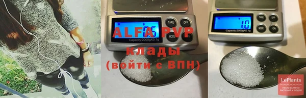 молекула духа Переславль-Залесский