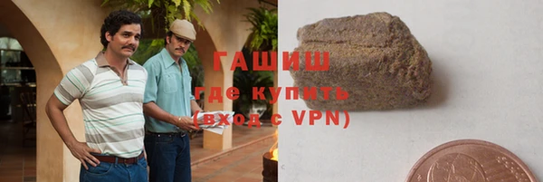 гашик Пестово