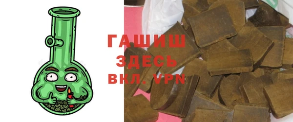 гашик Пестово