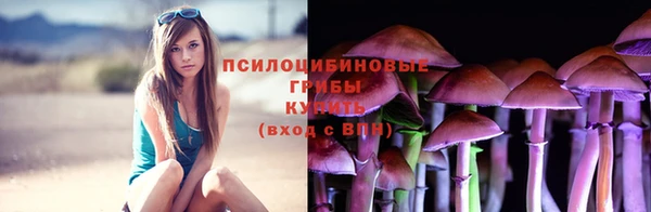 молекула духа Данков