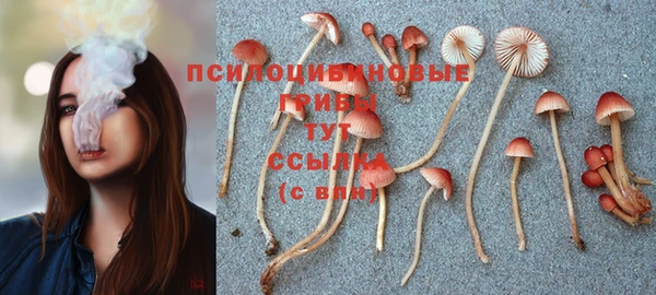 прущие крисы Пересвет
