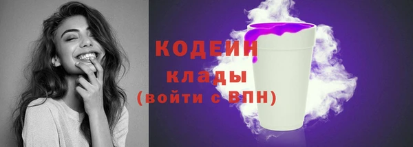 прущие крисы Пересвет
