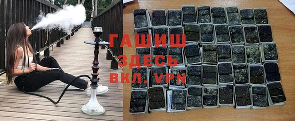 гашик Пестово