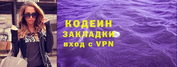 гашик Пестово
