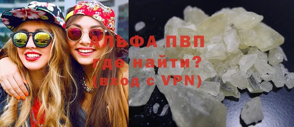 гашик Пестово