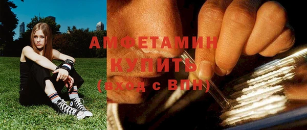 прущие крисы Пересвет