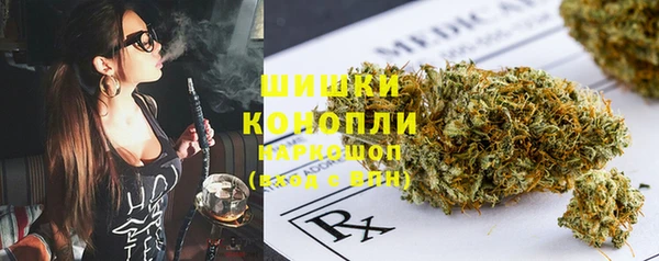 прущие крисы Пересвет
