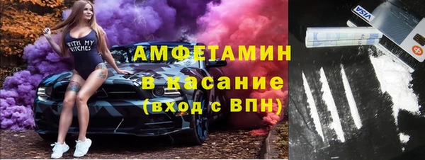 гашик Пестово