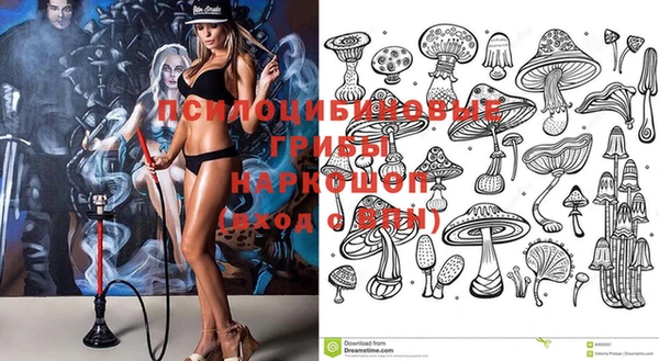 молекула духа Переславль-Залесский