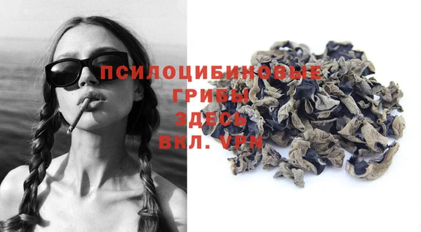 молекула духа Переславль-Залесский