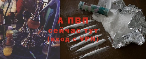 прущие крисы Пересвет