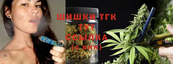 гашик Пестово