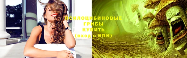 гашик Пестово